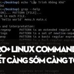 20 Linux Command Hữu Ích dành cho ai đang dùng Linux