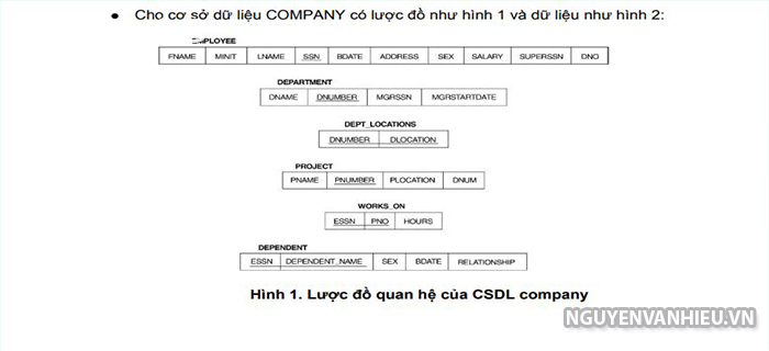 bài tập sql server