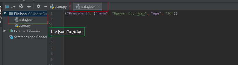 c3a1edasdasdsa json trong python