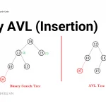 Cây AVL (Phần 1 - Insertion)
