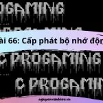 Cấp Phát Bộ Nhớ Động