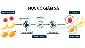 Thuật toán học có giám sát