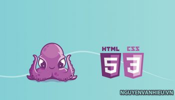 html css