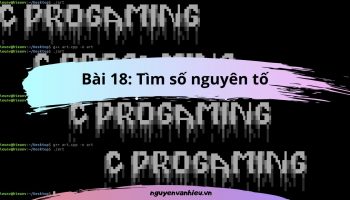 In Các Số Nguyên Tố Nhỏ Hơn 1000