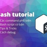 Khóa học Bash Shell cơ bản cho người mới