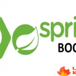 spring-boot