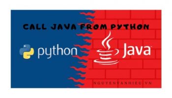 Viết wrapper python cho java